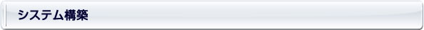システム構築